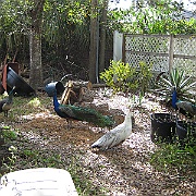 Picture 022